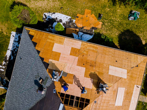 Best Roof Gutter Cleaning  in White Oak, MS